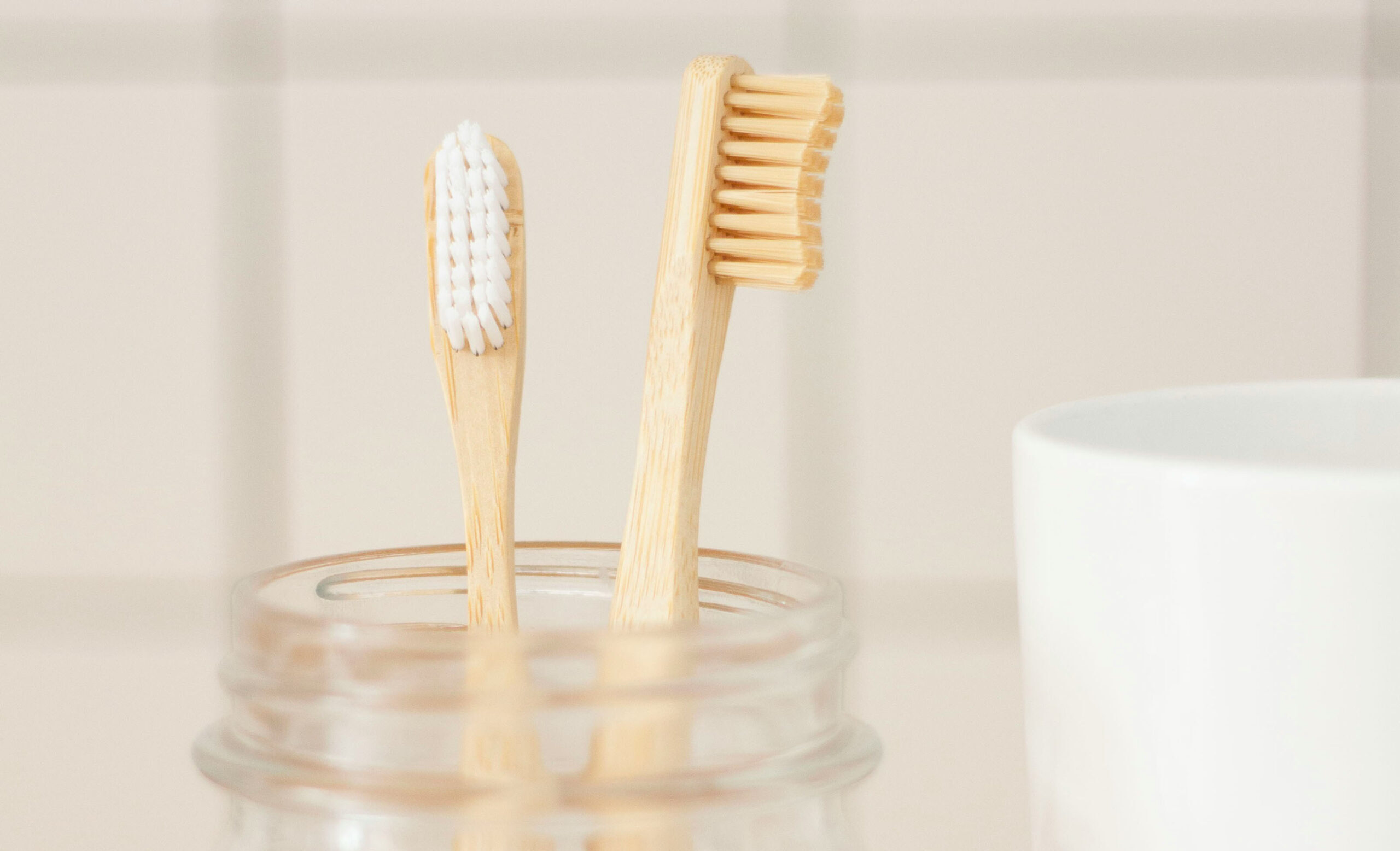 Plastic-Free Toothbrushes: Sorting Through the Trade-Offs